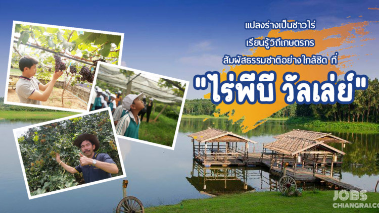 แปลงร่างเป็นชาวไร่ เรียนรู้วิถีเกษตรกร สัมผัสธรรมชาติอย่างใกล้ชิด ที่ &quot;ไร่พีบี วัลเล่ย์&quot;